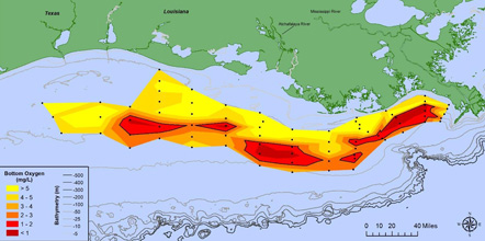 Map of bottom-water dissolved oxygen concentrations.