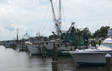 Story Image - Linhoss Shares Expertise on How Fresh Water Diverted into the Gulf Coast Affects Marine Life