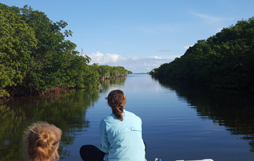 Story Image - Linhoss Shares Expertise on How Fresh Water Diverted into the Gulf Coast Affects Marine Life