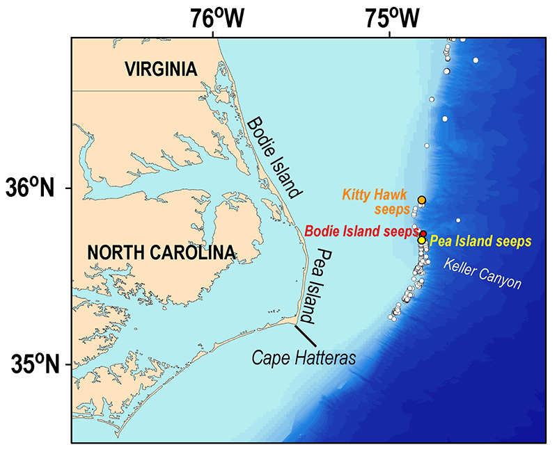 Bodie Island Seeps