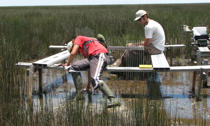 Drone research