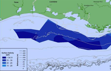 Story Image - Hypoxia Dead Zone Measured to be Smaller this Year - Report by NGI Research Partner Louisiana State University’s Marine Consortium