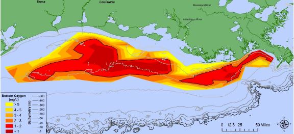 Oxygen concentrations in bottom water across the Louisiana shelf
