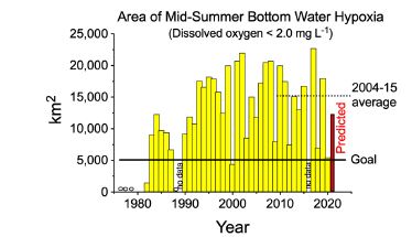 Area of the hypoxic zone from 1979 to 2020