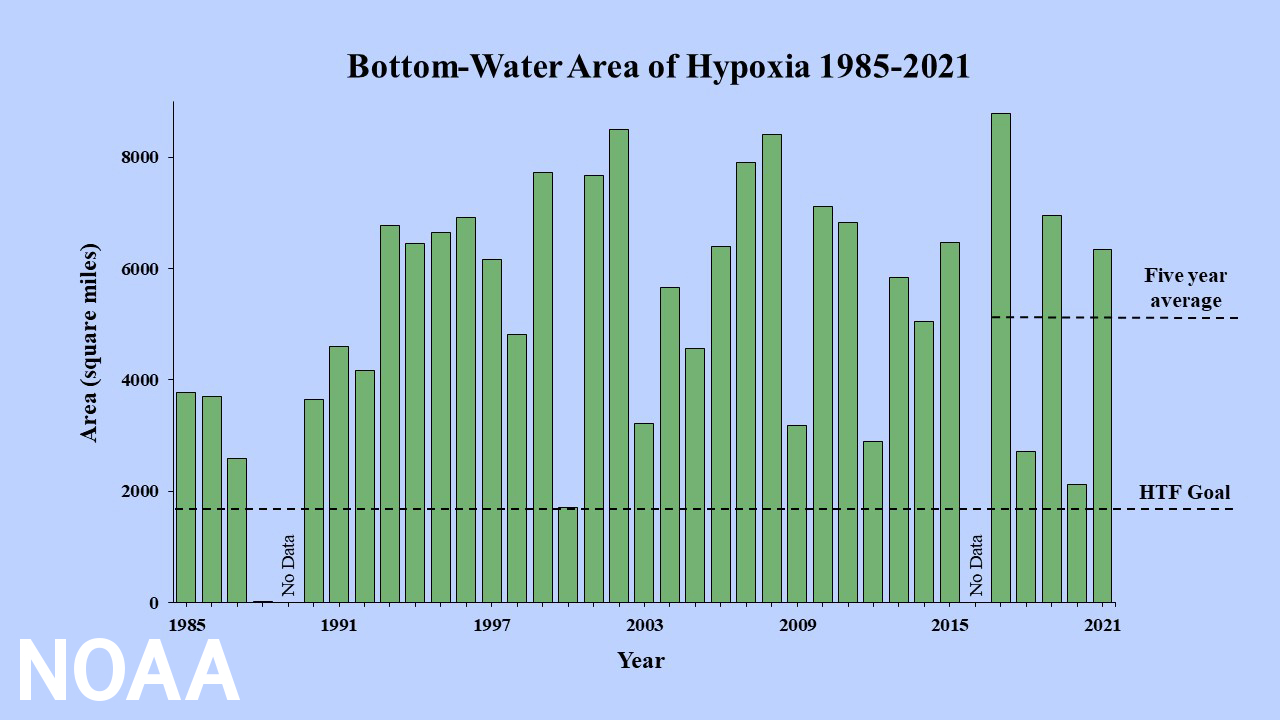 Long-term measured size of the hypoxic zone (green bars) measured during the ship surveys since 1985