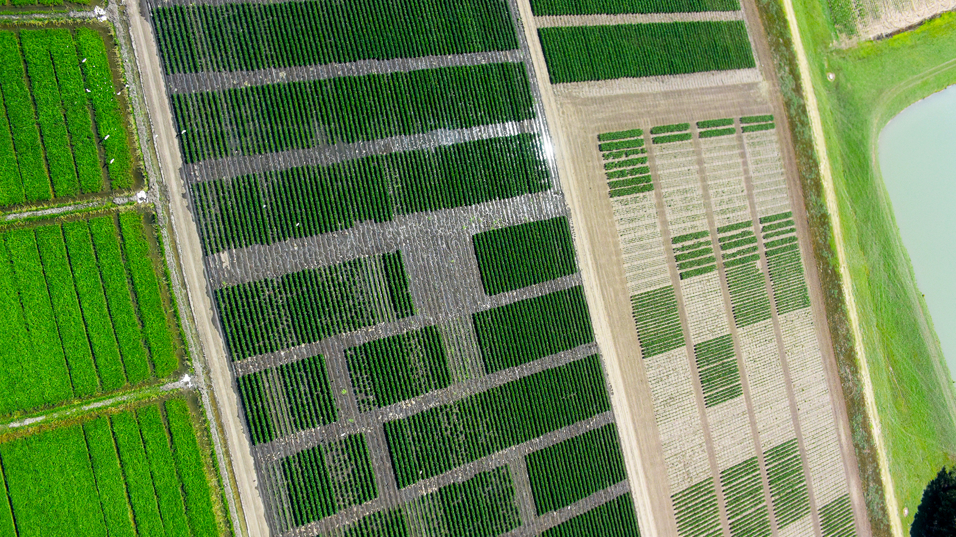 Fields from above