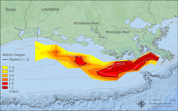 Map of Gulf of Mexico "Dead Zone"