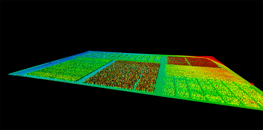 multiple different types of crops with various amendments