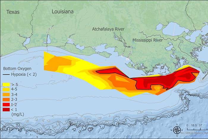 Hypoxia Monitoring Map