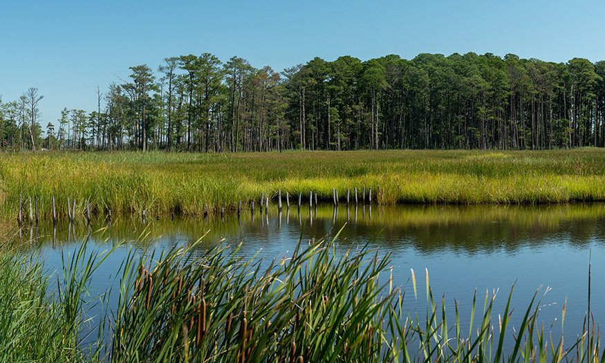 MSU development tool helping conservation leaders