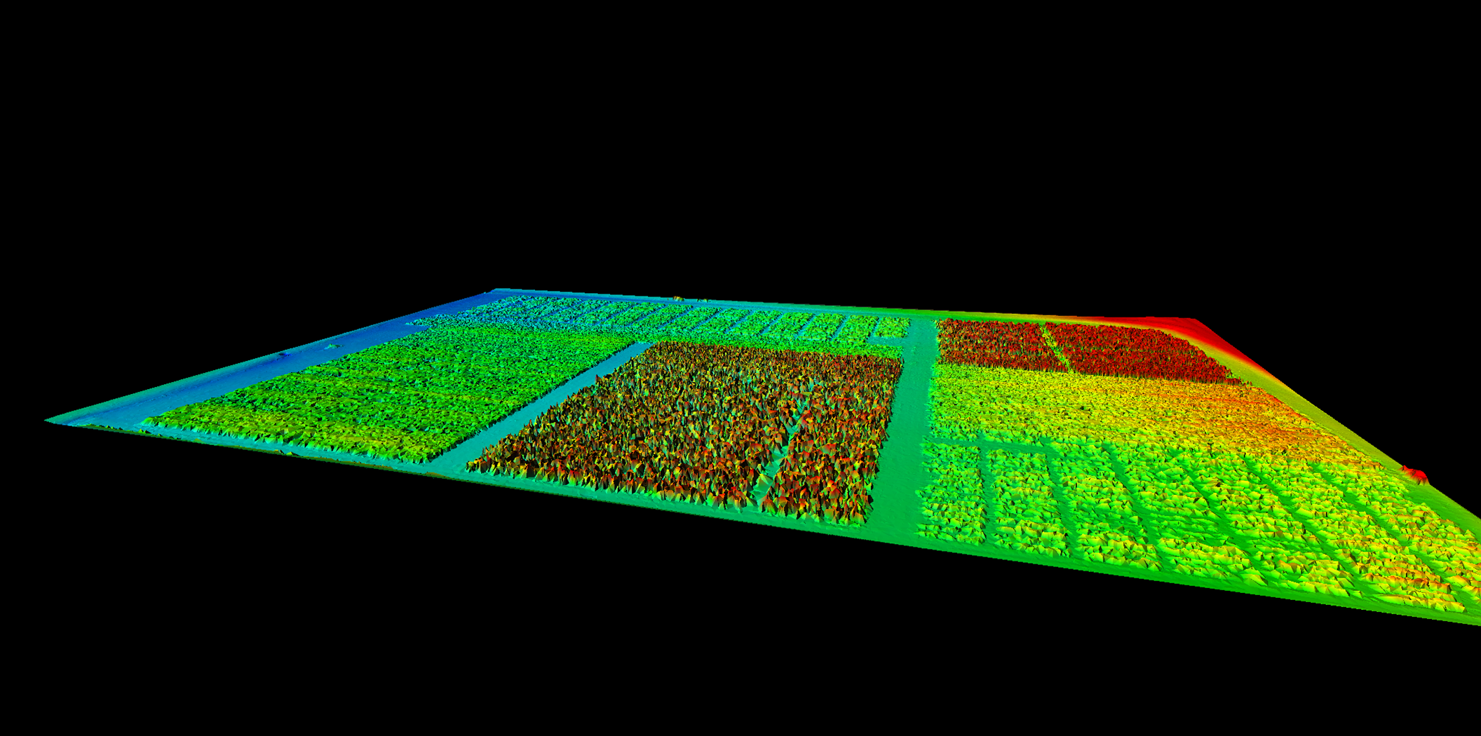 The research plot shown above displays multiple different types of crops with various amendments from August 20th, 2021