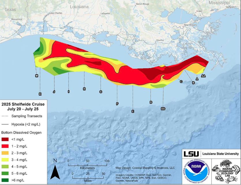 Map of measured Gulf hypoxia zone