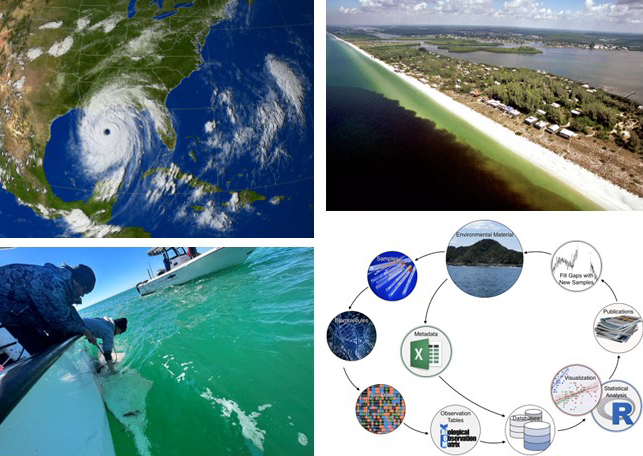 Combination of images about NGI