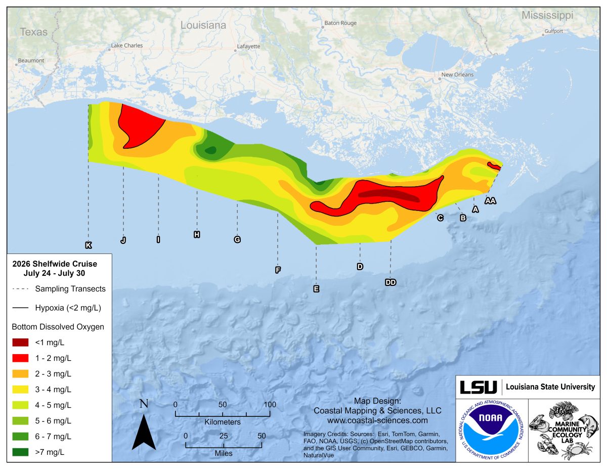 Low oxygen levels in gulf