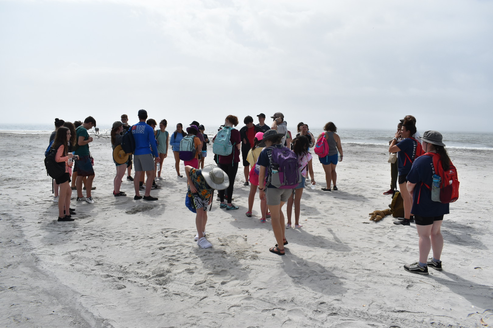 MSU-SEAS group on beach