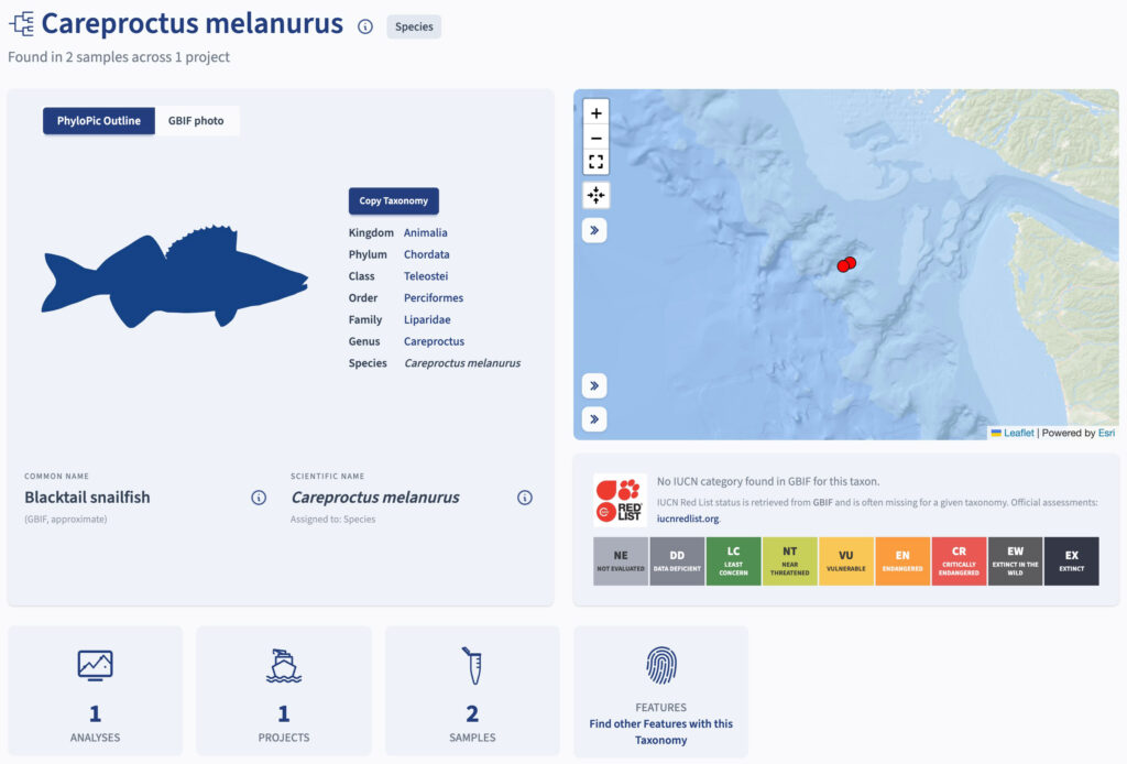 Careproctus melanurus screenshot