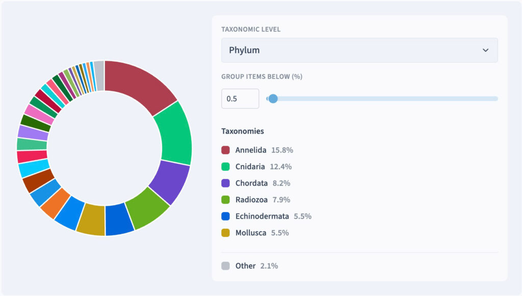 Phylum pie chart