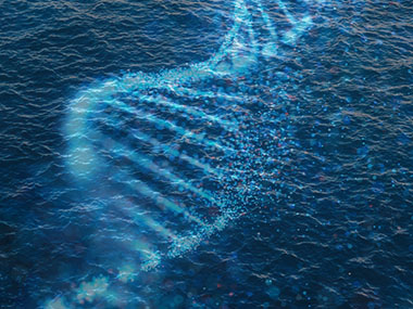 visualization of eDNA