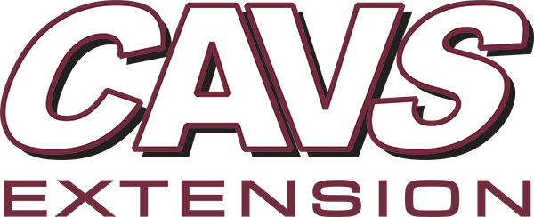 CAVS-E Logo